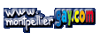 logosite.GIF (3225 octets)