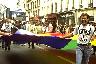 Gay flag 1
